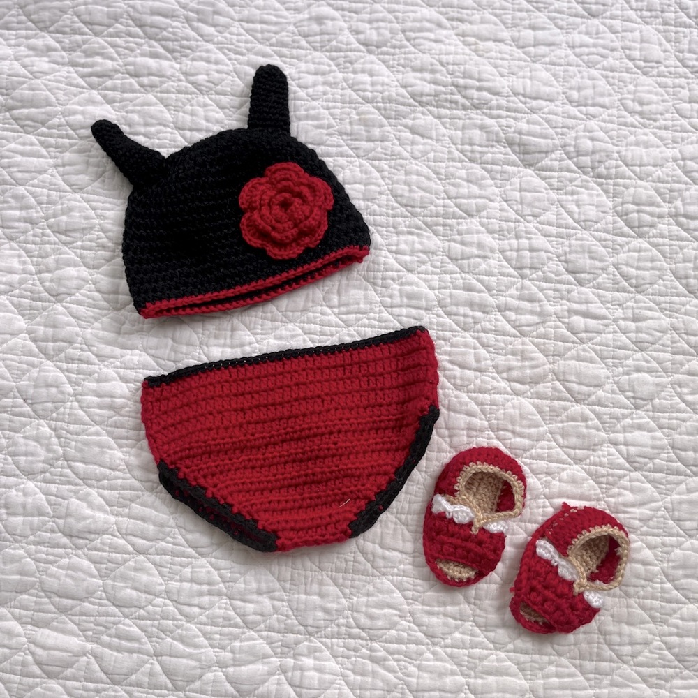 Knit ladybug costume